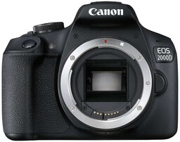 Canon EOS 2000D + EF 50mm f/1.8 STM