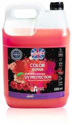 Ronney Color Repair Cherry UV Protection Szampon
