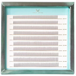 Many Beauty - Many Lashes - Master Box