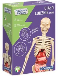 CLEMENTONI Model człowieka Naukowa Zabawa Ciało ludzkie mini
