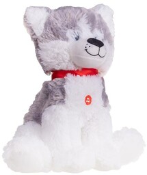Husky Siedzący