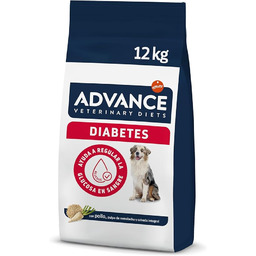 salmon; cukrzycowy; antyoksydanty; psów; karma; cukrzycy; leczenia; dietetyczne