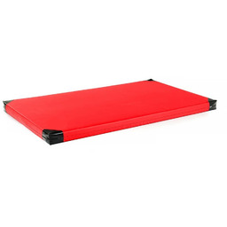 Materac gimnastyczny inSPORTline Roshar T60 200x120x10 cm