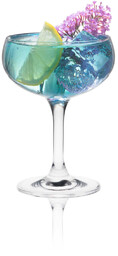Kieliszek do szampana 260 ml - Rona Classic