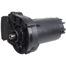 Silnik kpl. Cedrus glebogryzarka CEDRUSGE36 300699