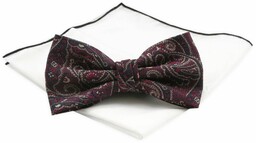 Mucha Męska z Białą Poszetką - Chattier -