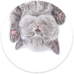 POPSOCKETS Uchwyt i podstawka do telefonu PopGrip Cat