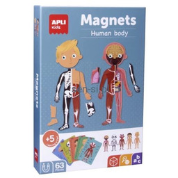 Magnetyczna układanka ciało