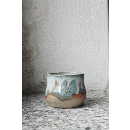 Pakamera Niebieska czarka