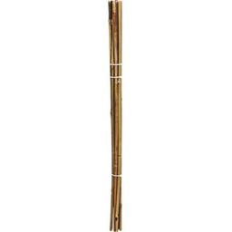 PROGARDEN Podpórka do roślin 306690 tyczka Bambusowy (10
