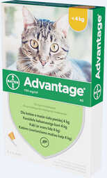 Advantage Roztwór do nakrapiania Koty poniżej 4 kg