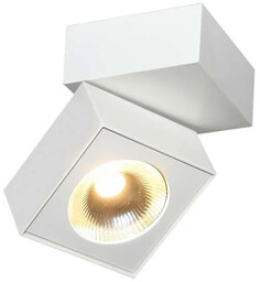 Oprawa sufitowa biała techniczna ARTU C0106 - MaxLight