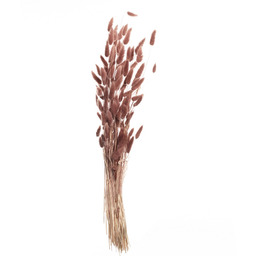 Bukiet Dmuszka 60cm dusty pink, 5 x 5