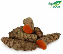 Kurkuma ekologiczna (karton ok. 2 kg) (EKO)
