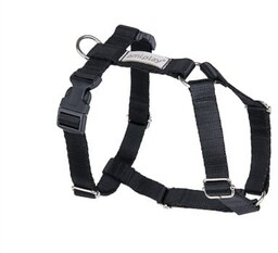 Amiplay Szelki regulowane Guard Samba M Czarny