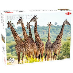 TACTIC Puzzle Lovers Tall Giraffes (1000 elementów)