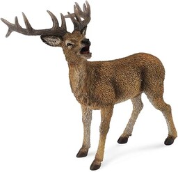 Collecta - 3388469 - Figurka - Zwierzęta leśne