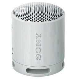 Sony SRS-XB100 Szary