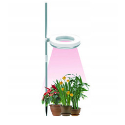 Lampa stojąca Grow do uprawy roślin 20