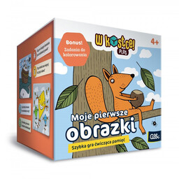 W Kostce! Plus - Moje pierwsze obrazki, gra,