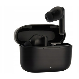 Słuchawki dokanałowe Panasonic RZ-B110WDE-K Wodoodporne Czarny