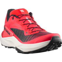 BUTY MĘSKIE SALOMON GENESIS M 492265