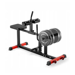 PROFESJONALNA MASZYNA DO ĆWICZEŃ ŁYDEK VEVOR Z SIEDZISKIEM