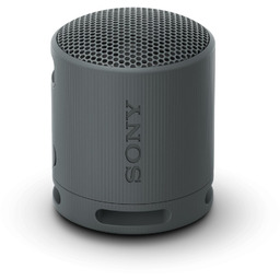 Sony SRS-XB100 bezprzewodowy głośnik Bluetooth, przenośny, czarny
