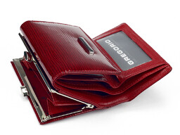 Zgrabny stylowy damski portfel pojemny Gregorio