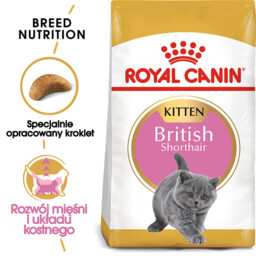 Royal Canin British Shorthair Kitten 2 kg -