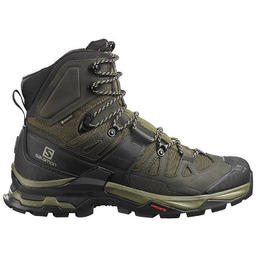 Quest 4D 4 Gtx