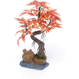 Pennplax czerwone drzewko bonsai dekoracja akwarium, 20 cm