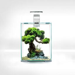 SHRIMP SET SMART D&N 10 BIAŁY ECOM