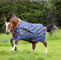 Shires Equestrian Derka padokowa 0g 600D Winnie &