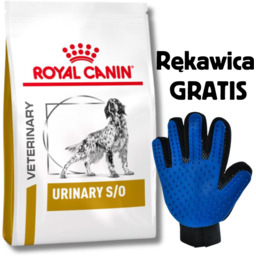 Royal Canin Urinary S/O 13kg + Rękawica