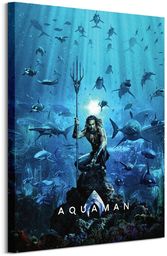 DC Comics Aquaman - obraz na płótnie