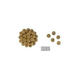 ROYAL CANIN Renal Special Canine RSF 13 10kg