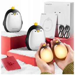 Ogrzewacz Do Rąk Wielorazowy Elektryczny Ocieplacz Do Dłoni