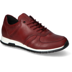 Sneakersy Pan 1499 Bordowe lico