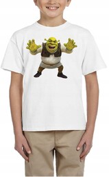 3131 Shrek Fiona Koszulka Dziecięca Kot Bajka 104