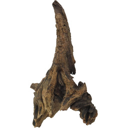 Amtra Mystic Wood, 25-30 cm