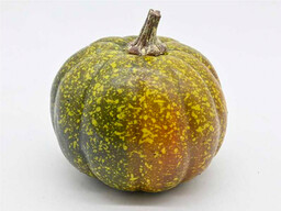 Dekoracja Dynia styropianowa - 10 cm - 1