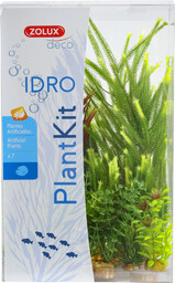ZOLUX PLANTKIT IDRO Ndeg;4 (352153)