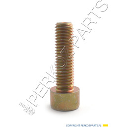 ŚRUBA M10X35-8,8 80300443 NEW HOLLAND / CASE 81869630