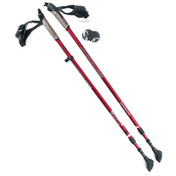Nils Extreme Kije treningowe Nordic Walking NW802