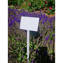 Tabliczki Etykiety Do Opisu Roślin 100x70x465 MM 100