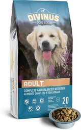 Divinus Adult dla psów dorosłych 20kg