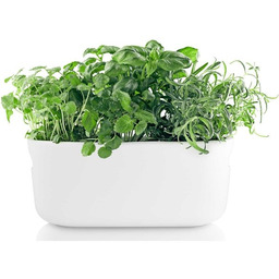 Eva Solo KITCHEN Doniczka do Ziół z Systemem