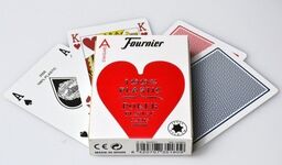 Karty Fournier Standard Poker 100% Plastik 2500