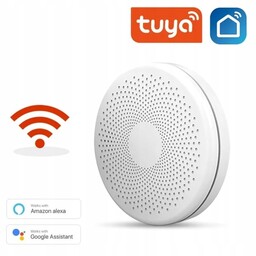 Czujnik Dymu I Czadu Co Tlenku Węgla Wifi